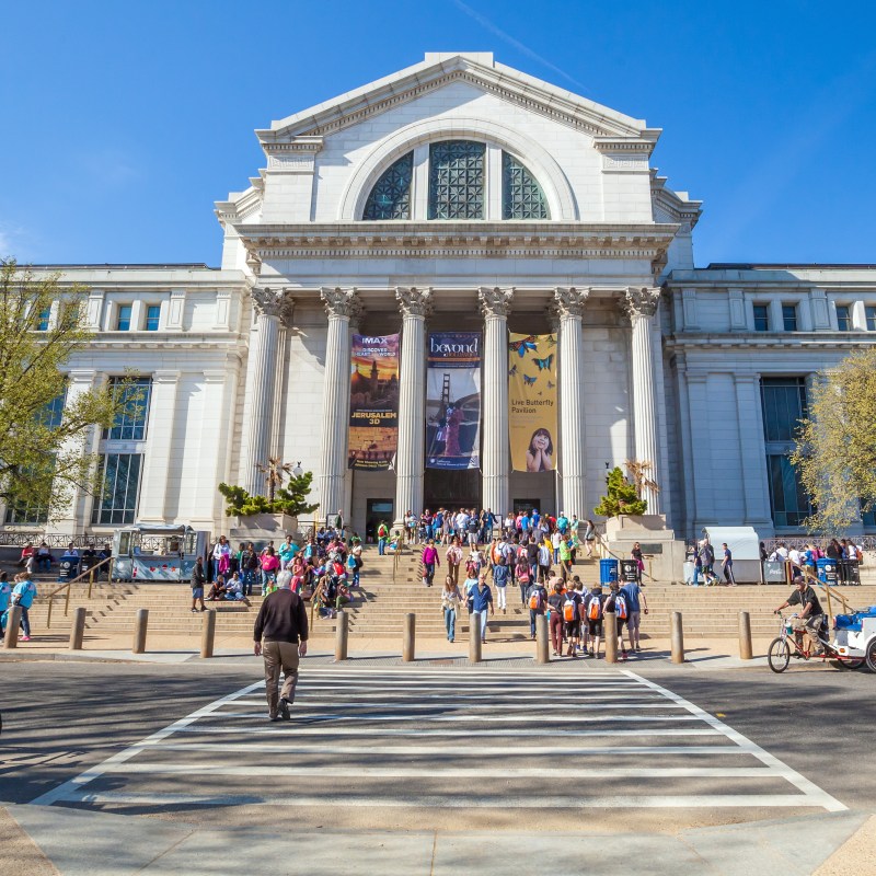 The Smithsonian National Museum of Natural History.