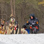 The UP200 dog sled race in Marquette, Michigan.