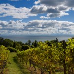 The Waupoos Estates Winery and Restaurant in Canada.