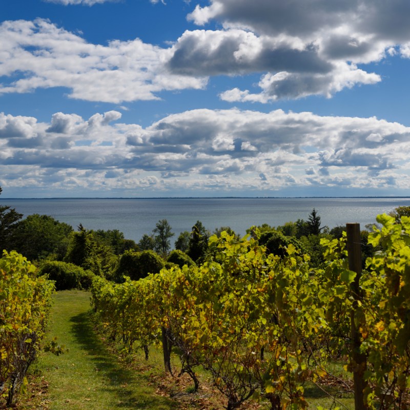 The Waupoos Estates Winery and Restaurant in Canada.