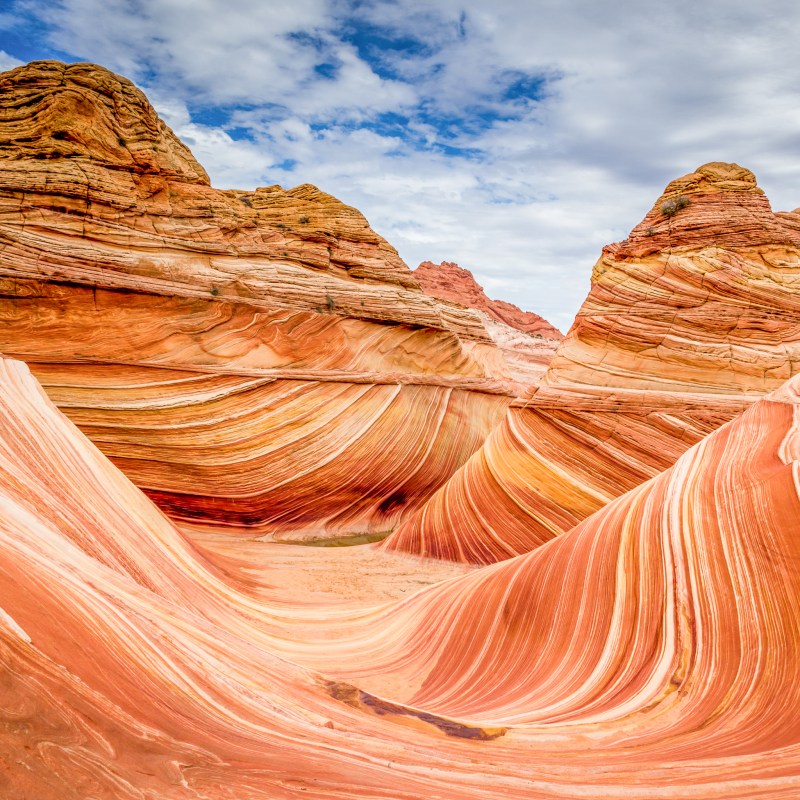 The Wave in Coyote Buttes, Arizona.