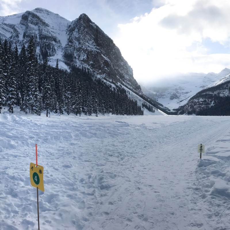 The writer admiring the scenery at an alpine ski resort.