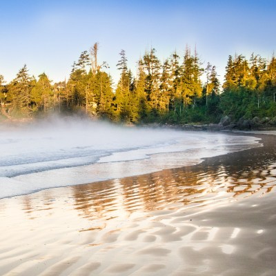 Tofino Beach on Vancouver Island in Canada.