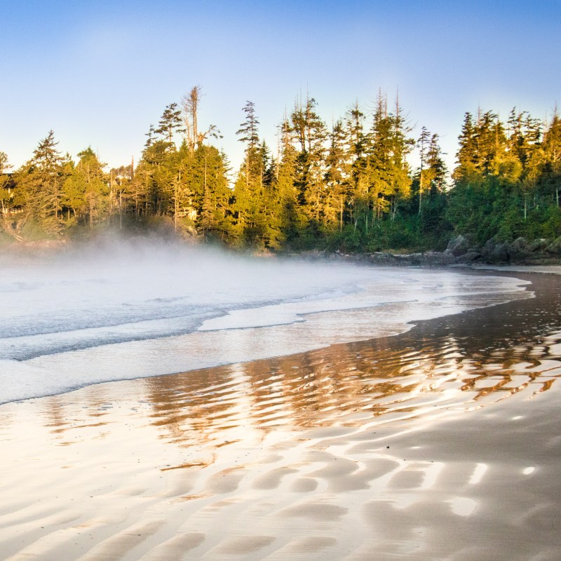 Tofino Beach on Vancouver Island in Canada.