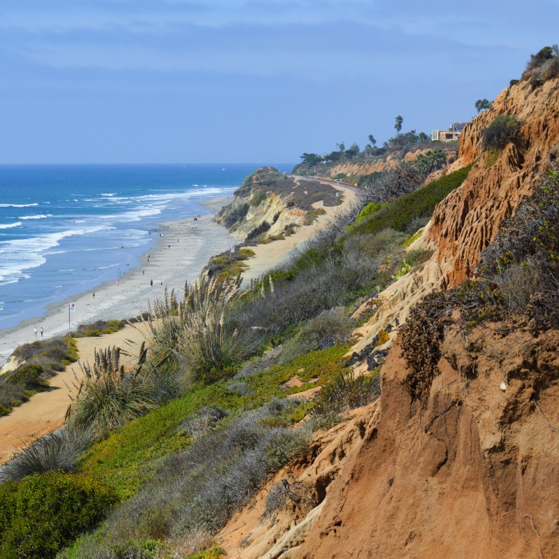 Torrey Pines State Natural Reserve in California.