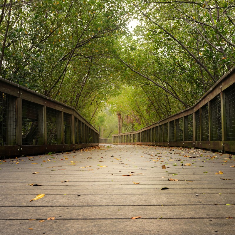 Trail in St. Lucie, Florida.