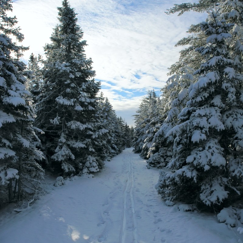 The Trans Canada Trail on the Atlantic coast in winter.