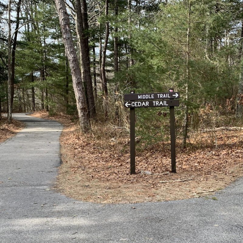 Two trails in Nickerson State Park.