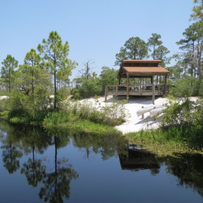 Views along a hike on the Gulf Coast.