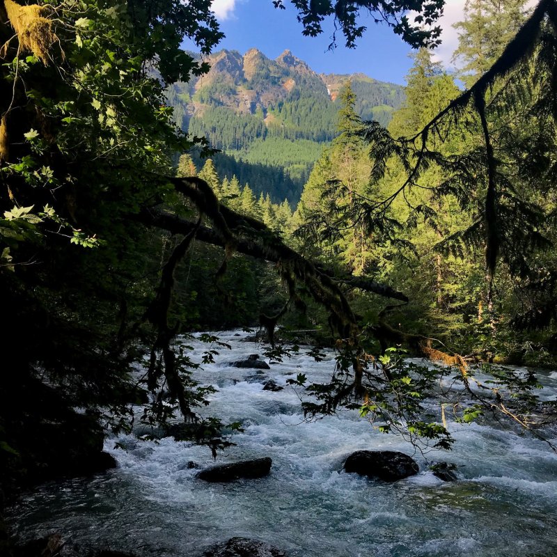 Views along the Horseshoe Bend Trail near Mount Baker.