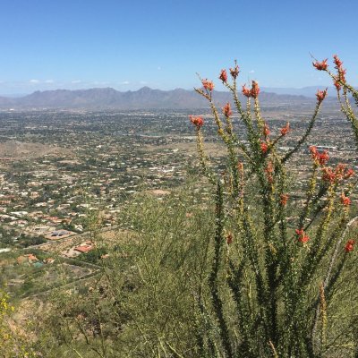 Views from Camelback Mountain in Phoenix, Arizona.