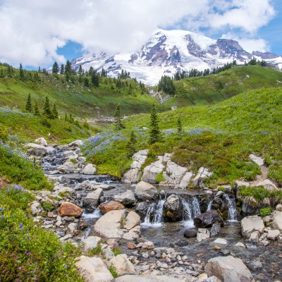 Views from the Skyline Trail in Mount Rainier National Park.