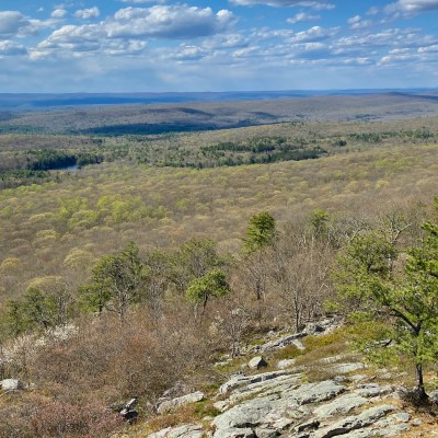 Views from the top of Tower Trail in Delaware.