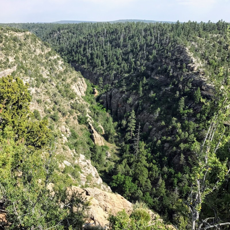Views of Walnut Canyon in Arizona.