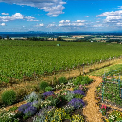 Willamette Valley, Oregon.