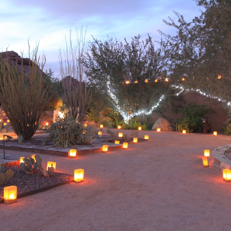 Winter Street Fair in Tucson, Arizona.