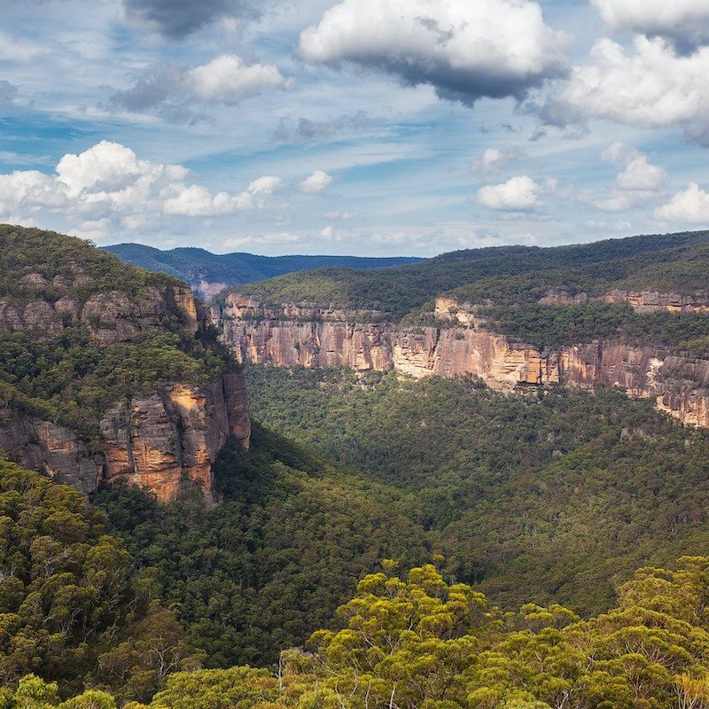 Wollemi National Park in Australia.