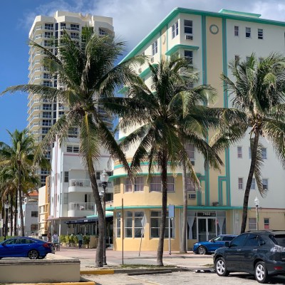 Palm trees in Miami, Florida.