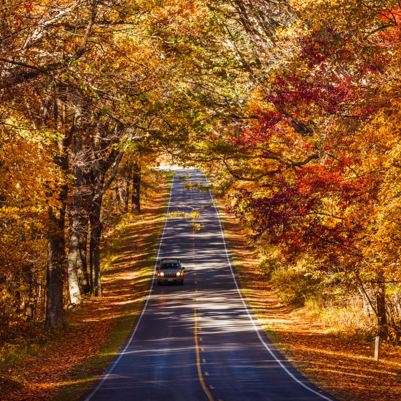 Skyline Drive in autumn, Shenandoah National Park.