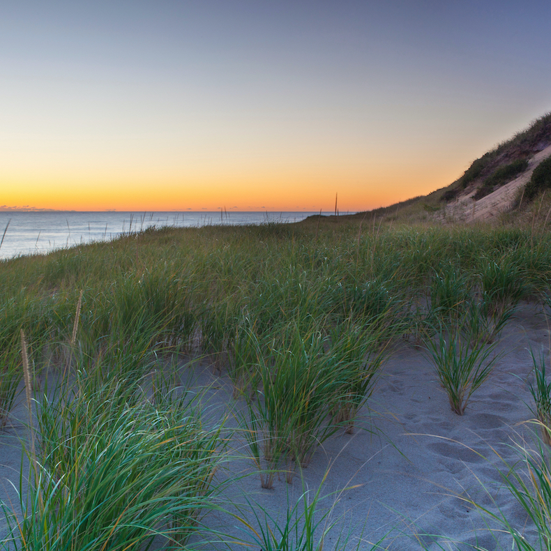 Head of the Meadow Beach.