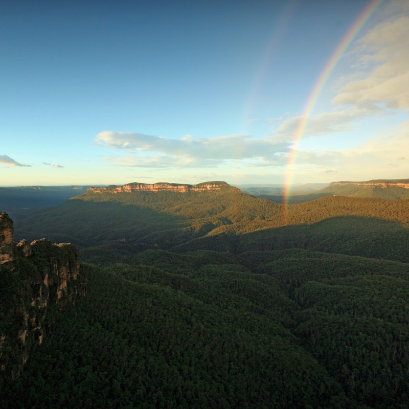 Blue Mountains National Park, NSW, Australia.