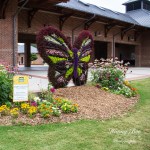 Topiary at the Greenwood Festival of Flowers