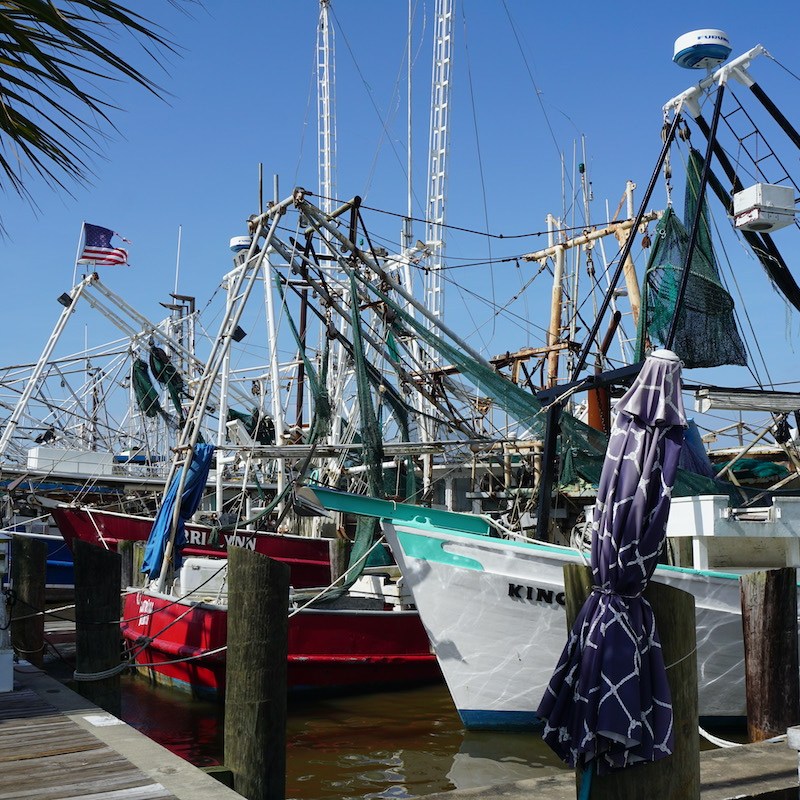 Shrimp boats in Biloxi.