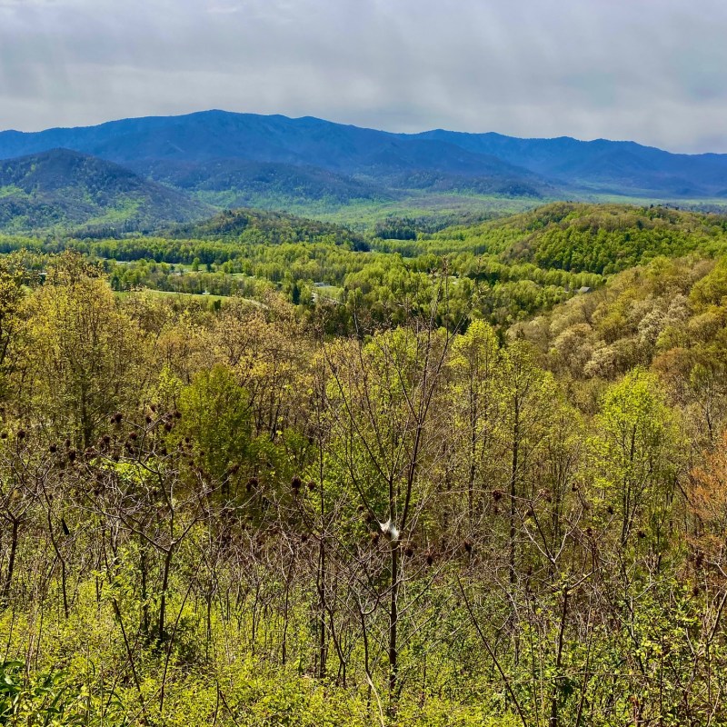 A scenic view in Tennessee.