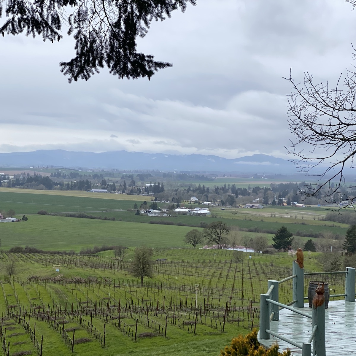 5 Best PetFriendly Wineries In The Willamette Valley TravelAwaits