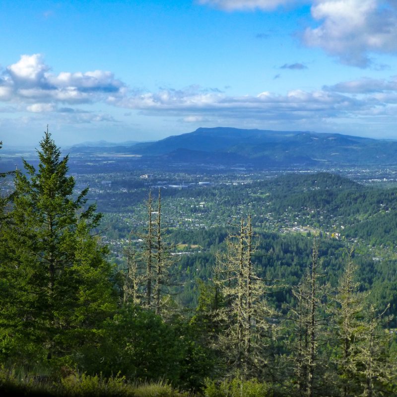 View of Eugene from Spencer Butte