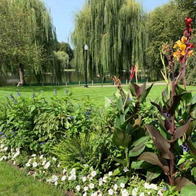 Boston Public Garden.