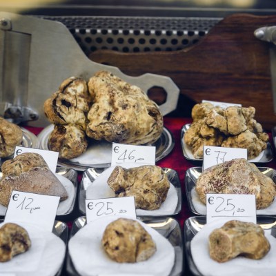 White truffles in Alba, Italy.