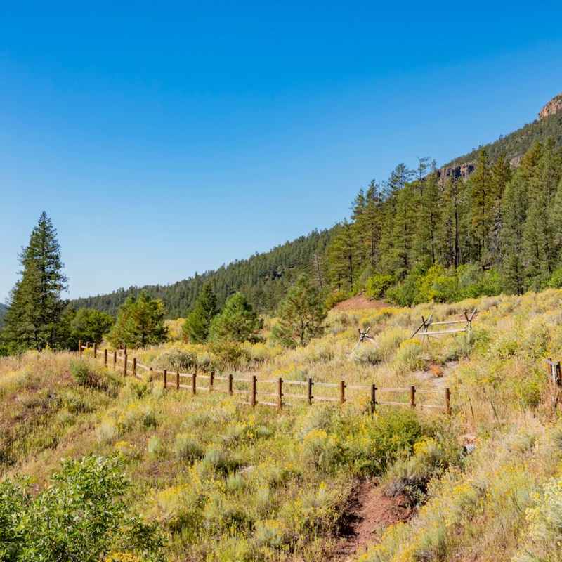 Valles Caldera National Preserve area at New Mexico