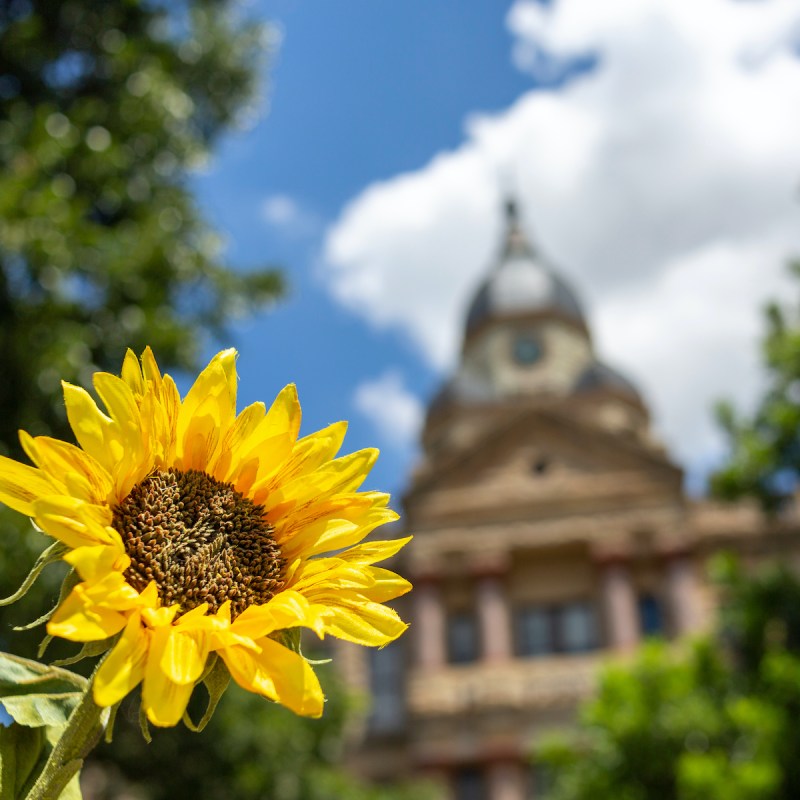 Downtown Denton, Texas.