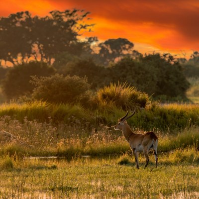 Kruger National Park.