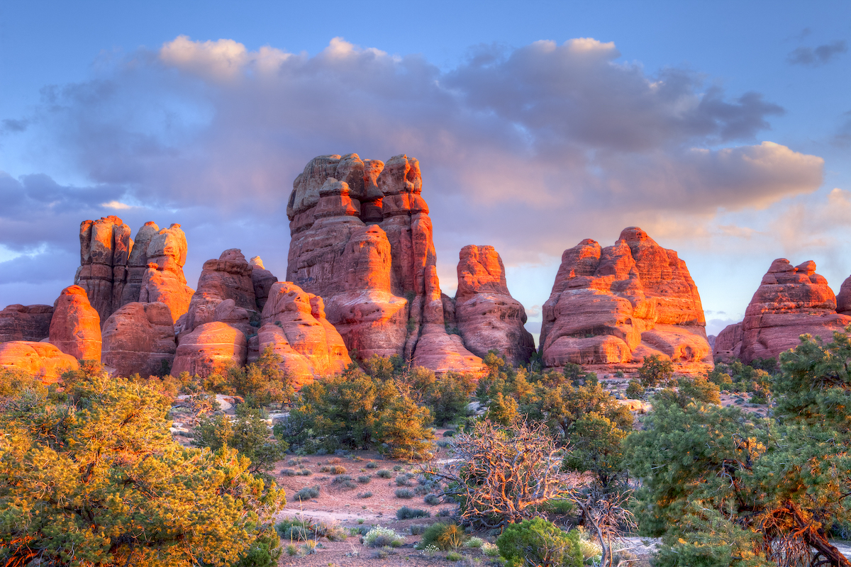 Sunset lit spires in Canyonlands National Park.