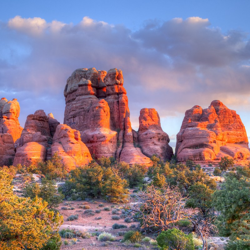 Sunset lit spires in Canyonlands National Park.