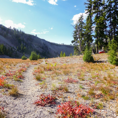 Alpine-hiking-trail-in-the-Pacific-Northwest