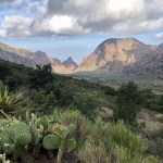 Chisos Mountain Basin view