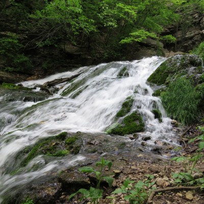 Dunnings Springs in Decorah, IA