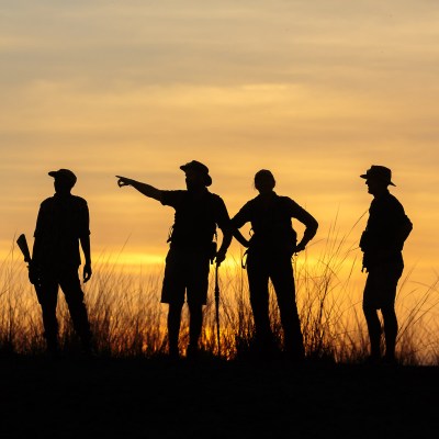 Silhouette of private safari group.