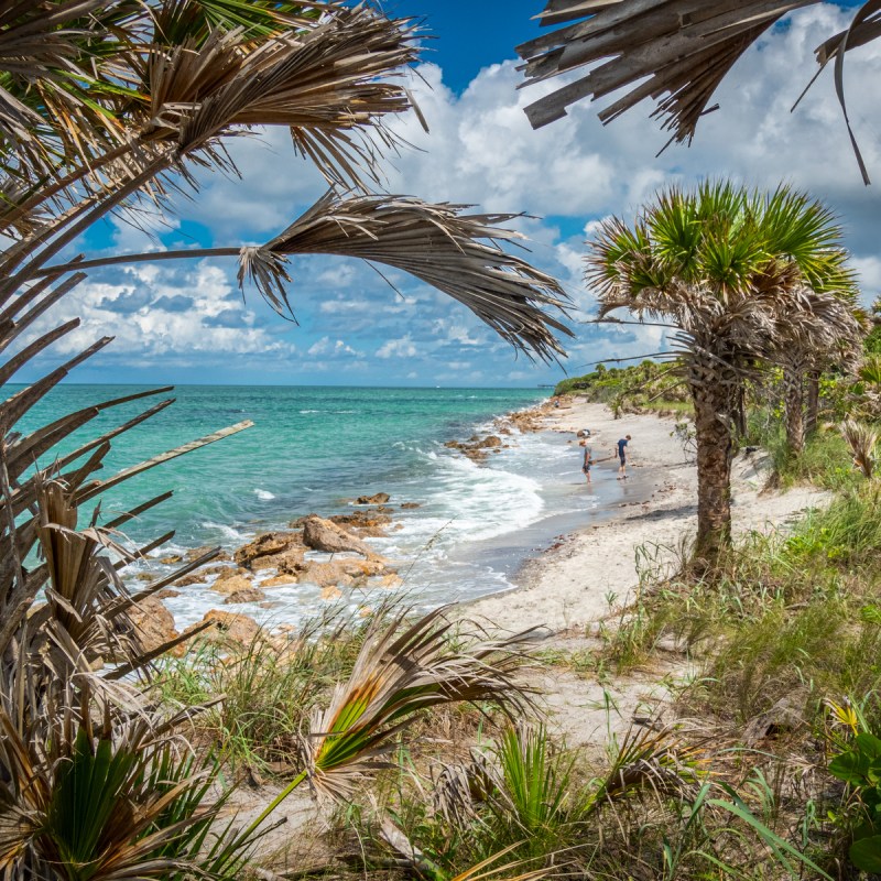 Sunny summer day at Caspersen Beach on the Gulf of Mexico in Venice Florida in the United States