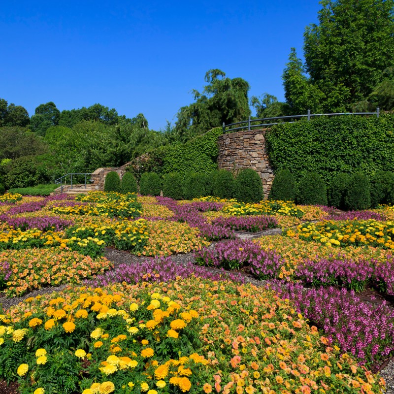 Patterned Quilt Garden in Asheville North Carolina