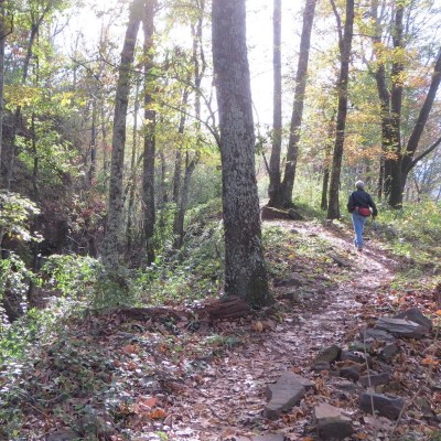 Hiking in Birmingham.