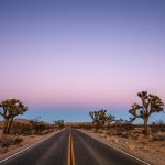 Joshua Tree