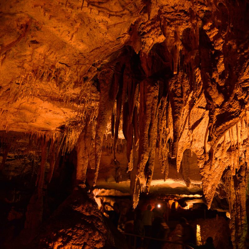 Mammoth Cave National Park