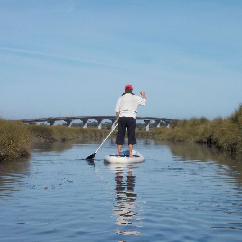 The author on a paddle board in Eureka, California.