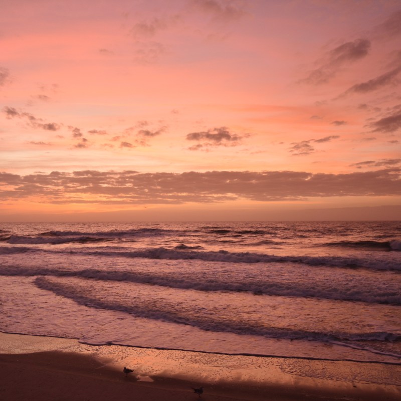 Sunrise, Pender County, NC