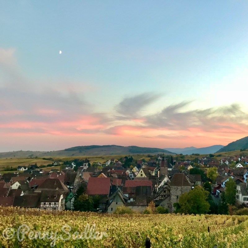 Schoenenberg Vineyards in Riquewihr, Alsace, France.