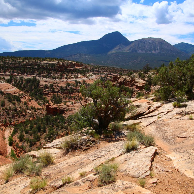 Canyon of the Ancients. Cortez, Colorado.